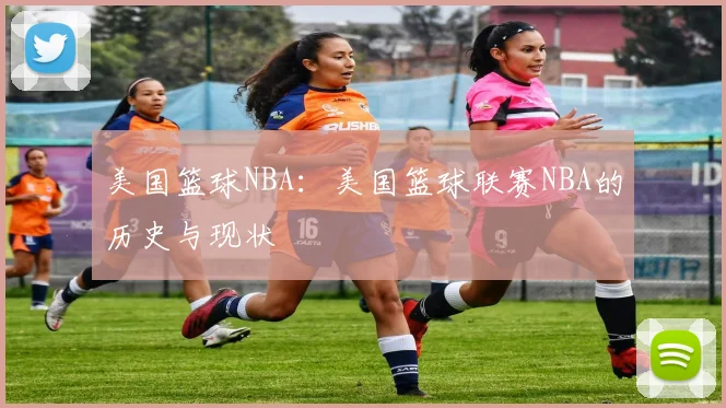 美国篮球NBA:美国篮球联赛NBA的历史与现状