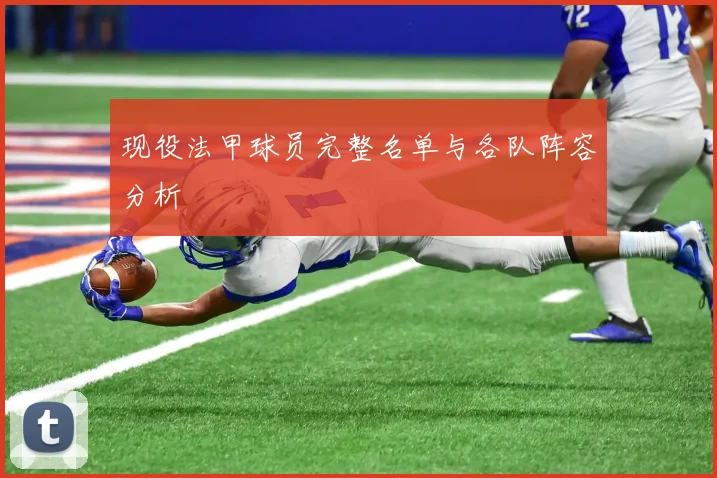 现役法甲球员完整名单与各队阵容分析